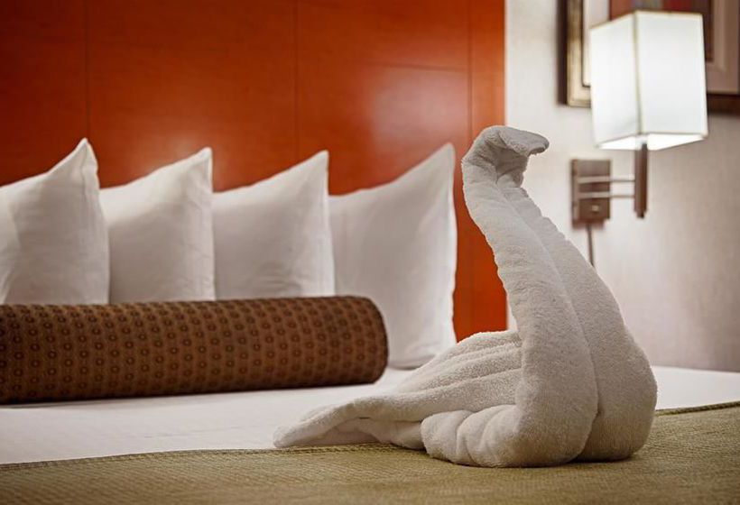 Hotel Best Western JFK Airport  | Jamaica - Long Island | Nueva York | United States 9