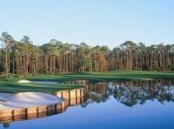 Hotel Emerald Grande At Harborwalk Village  | Destin | Florida | United States 2