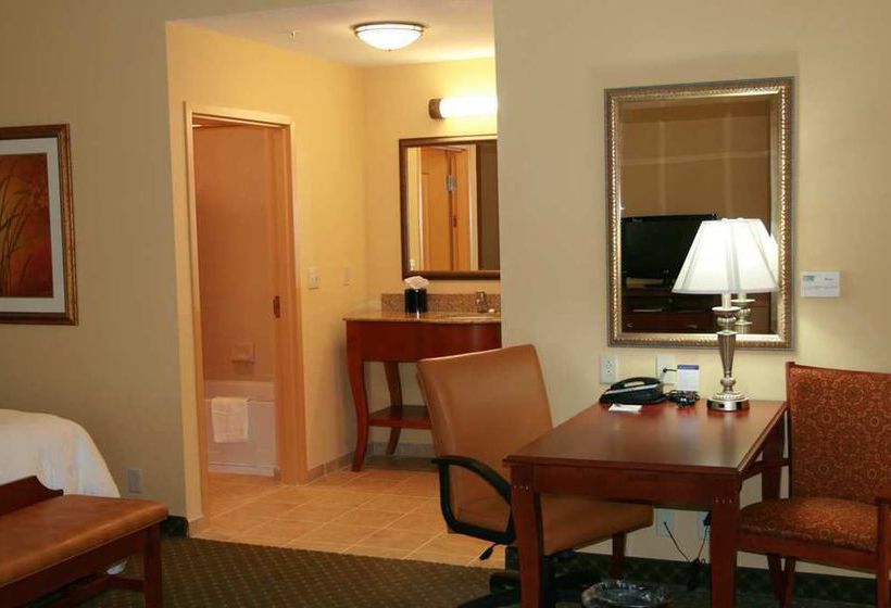 Hotel Hampton Inn & Suites Port Richey  | New Port Richey | Florida | United States 16