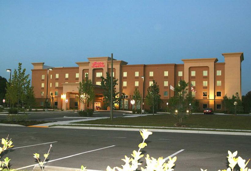 Hotel Hampton Inn & Suites Port Richey  | New Port Richey | Florida | United States 6
