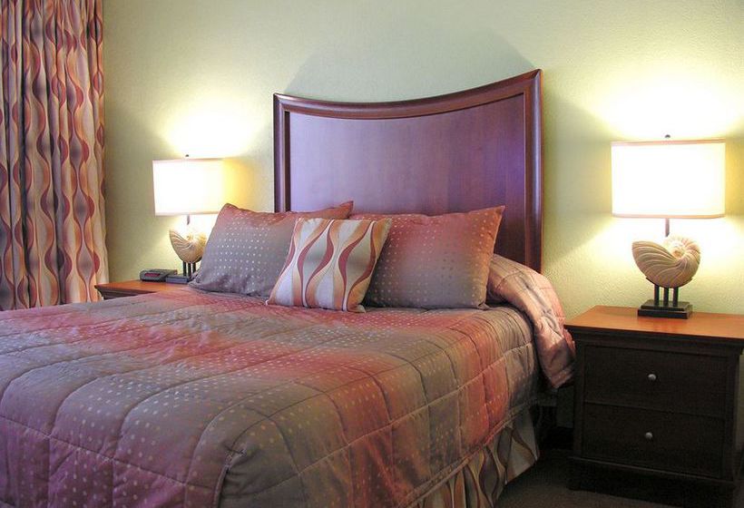 Away Inn  | Lauderdale by the Sea | Florida | United States 4