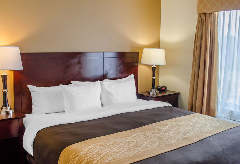 Hotel Comfort Inn & Suites Crestview  | Crestview | Florida | Estados Unidos 20