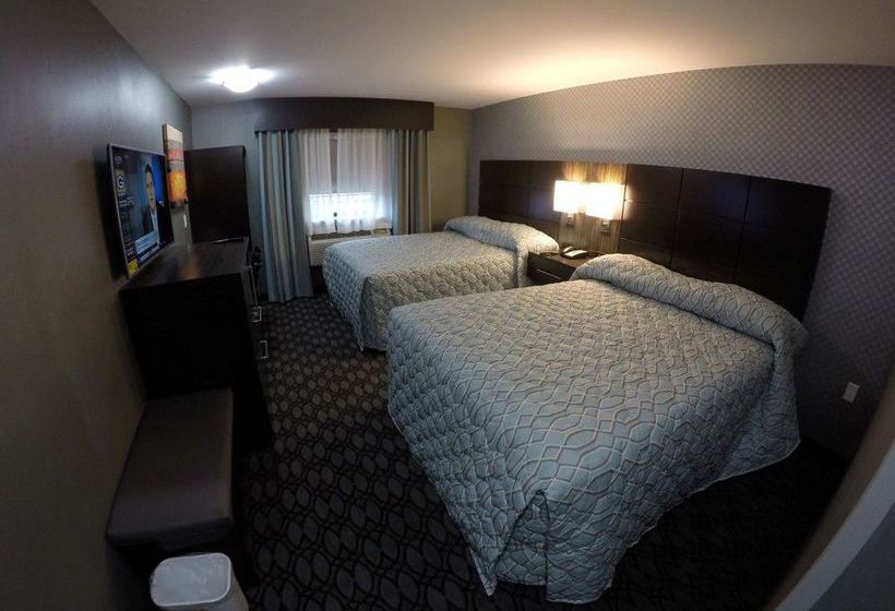 Hotel Red Carpet Inn Elmwood Park  | New York | Nueva York | United States 3
