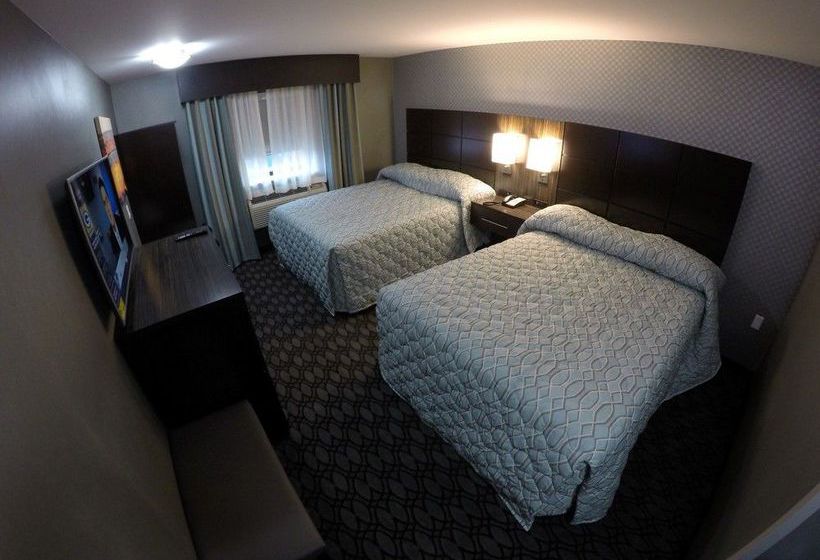 Hotel Red Carpet Inn Elmwood Park  | New York | Nueva York | United States 5