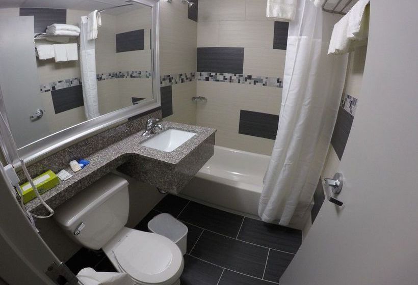 Hotel Red Carpet Inn Elmwood Park  | New York | Nueva York | United States 7