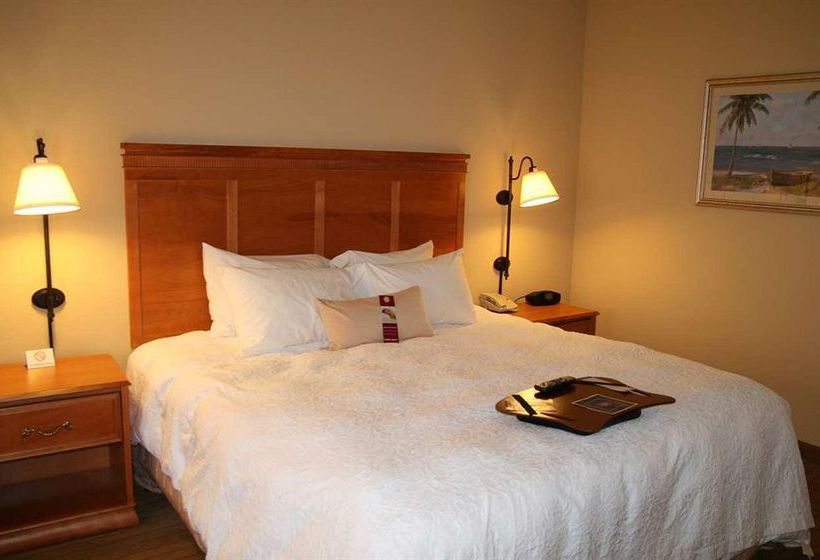 Hotel Hampton Inn & Suites Tampa East  | Seffner | Florida | United States 19