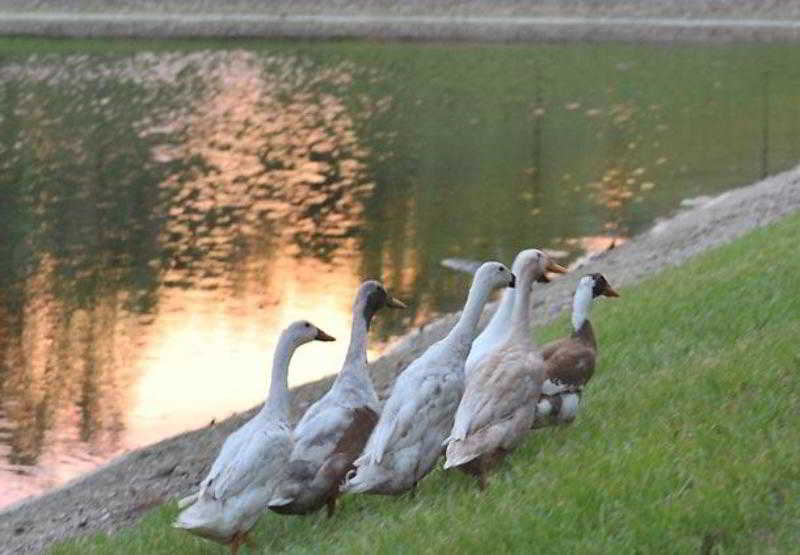 SpringHill Suites Vero Beach  | Vero Beach | Florida | United States 1