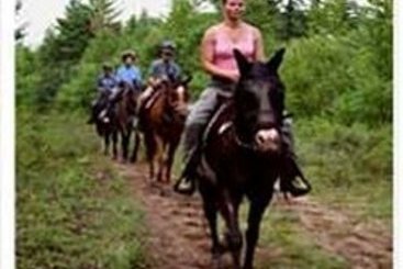 Hotel High Peaks Resort  | Lake Placid | Nueva York | United States 18