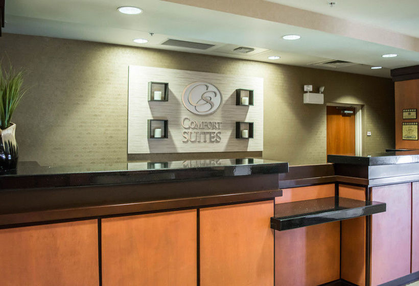 Hotel Comfort Suites Vero Beach  | Vero Beach | Florida | United States 12