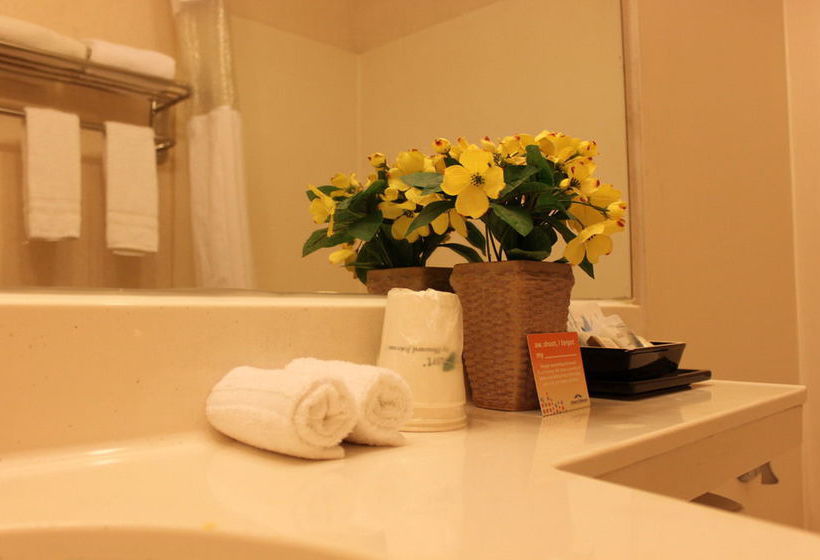 Hotel Howard Johnson Flushing  | Flushing | Nueva York | United States 16