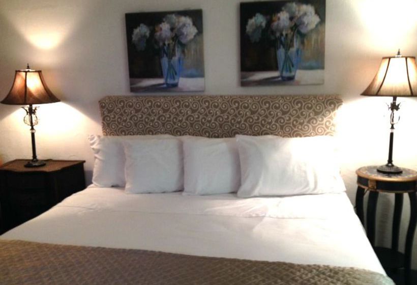 Hotel Flamingo Inn  | Daytona Beach | Florida | United States 10