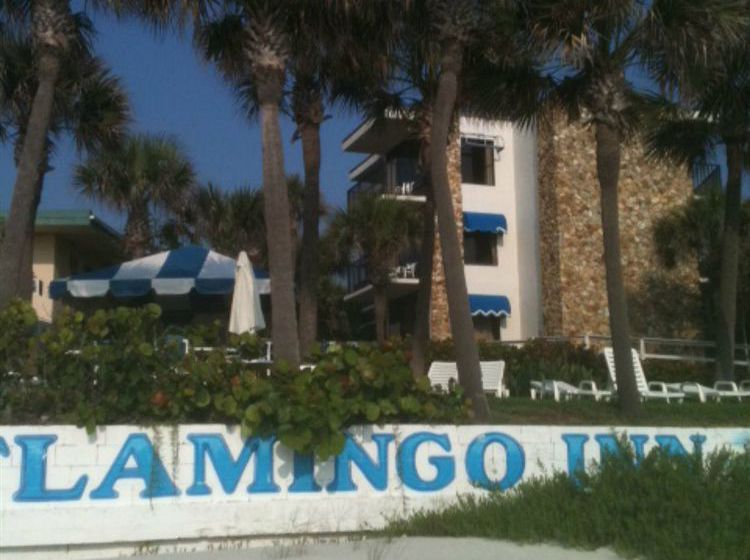 Hotel Flamingo Inn  | Daytona Beach | Florida | United States 13