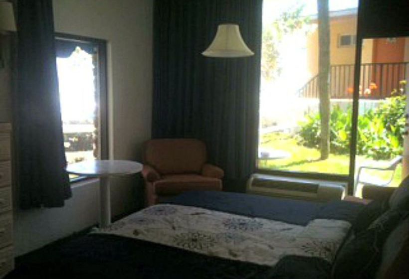 Hotel Flamingo Inn  | Daytona Beach | Florida | United States 2