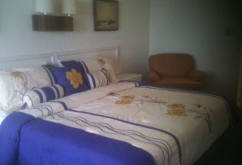 Hotel Flamingo Inn  | Daytona Beach | Florida | United States 3