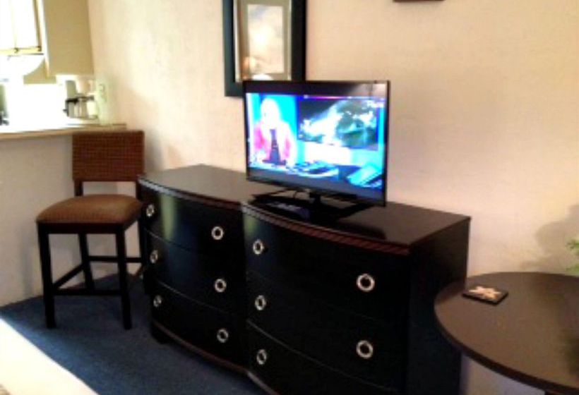 Hotel Flamingo Inn  | Daytona Beach | Florida | United States 4