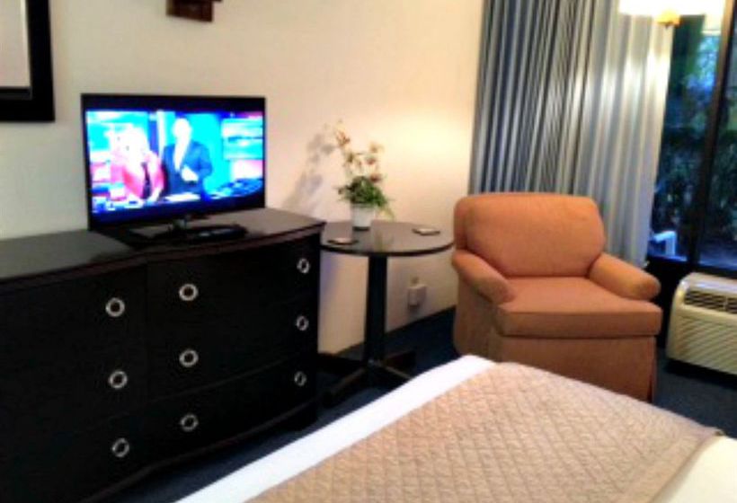 Hotel Flamingo Inn  | Daytona Beach | Florida | United States 6