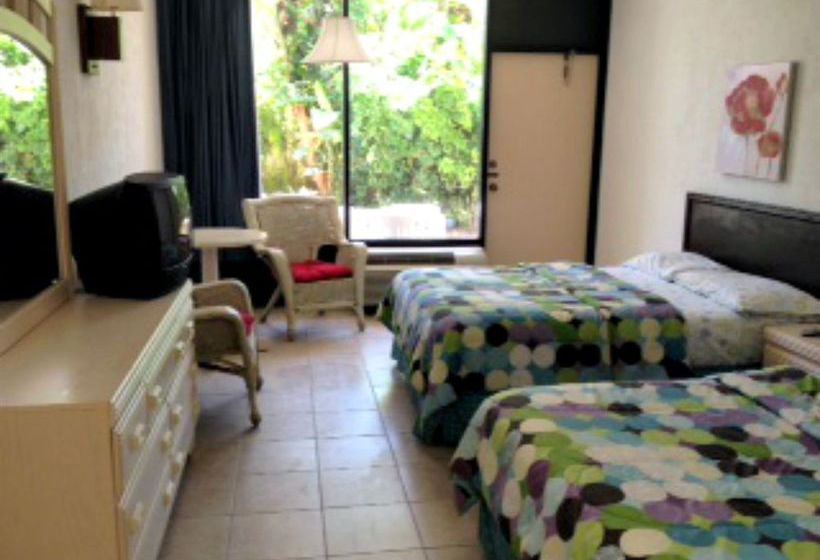 Hotel Flamingo Inn  | Daytona Beach | Florida | United States 8