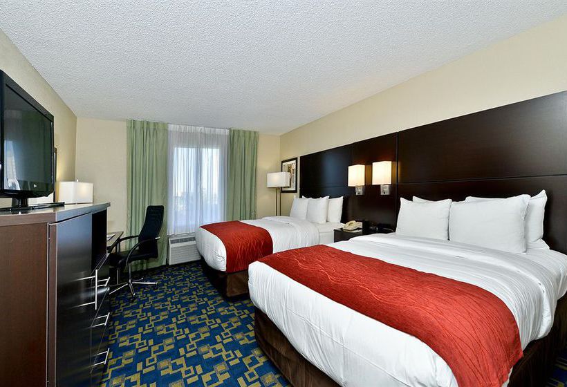 Hotel Comfort Inn & Suites Universal - Convention Center  | Orlando | Florida | United States 12