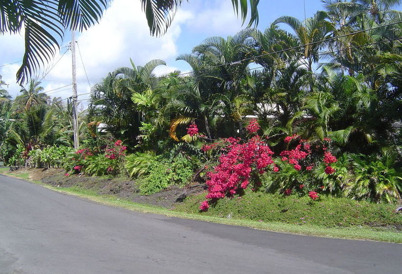 Hotel Aaron's Cottage  | Hilo | Hawaii | United States 6