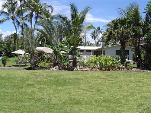 Hotel Aaron's Cottage  | Hilo | Hawaii | United States 7