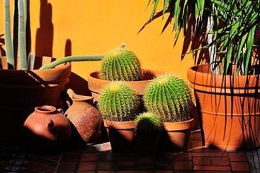 Hotel Blue Seas Courtyard  | Lauderdale by the Sea | Florida | United States 1