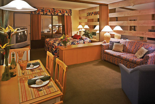 Hotel Dolphin Beach Club   | Daytona Beach | Florida | United States 8