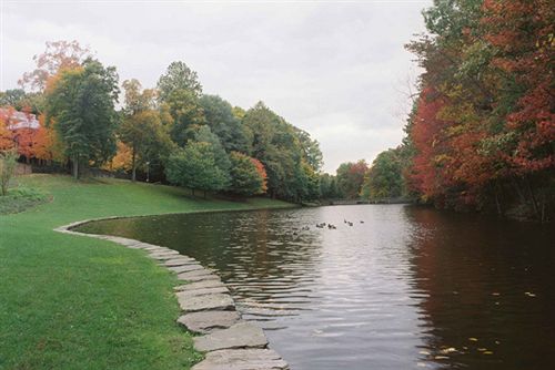 Hotel Dolce Palisades  | Palisades | Nueva York | United States 13