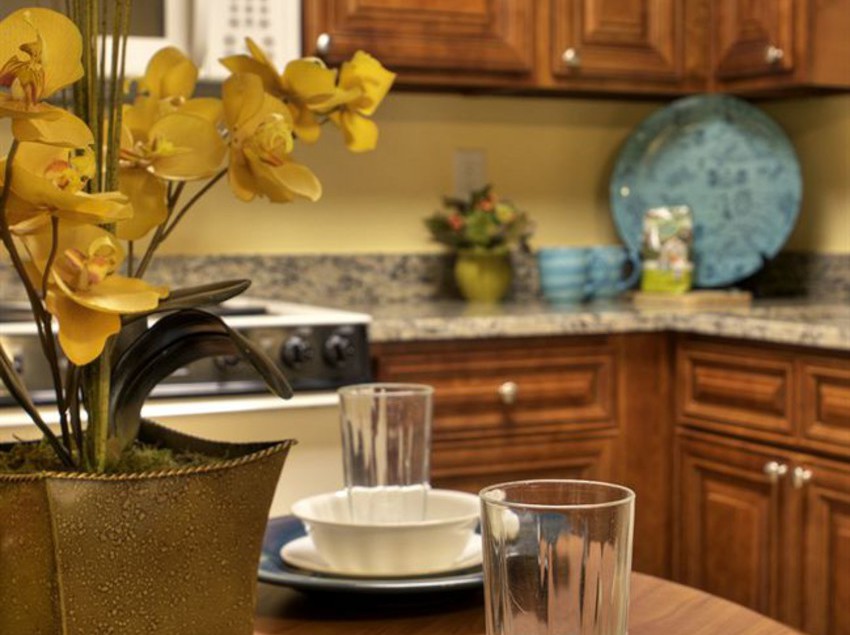 Tropic Sun Towers Resort  | Ormond Beach | Florida | United States 11