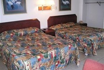 Hotel Tarpon Inn  | Tarpon Springs | Florida | United States 6