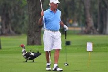 Hotel Hollywood Beach Golf Resort  | Hollywood | Florida | United States 18