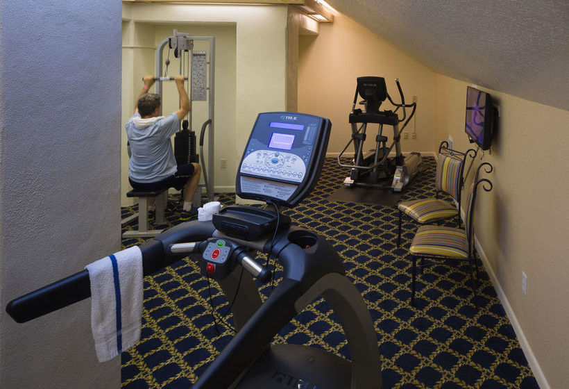 Hotel Coconut Palms Beach Resort  | New Smyrna Beach | Florida | United States 12