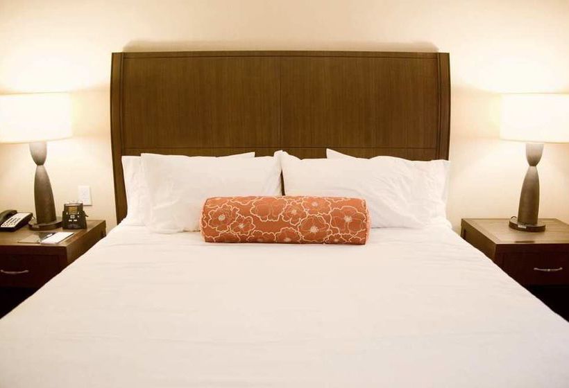 Hotel Hilton Garden Inn Watertown Thousand Islands  | Watertown | Nueva York | United States 8