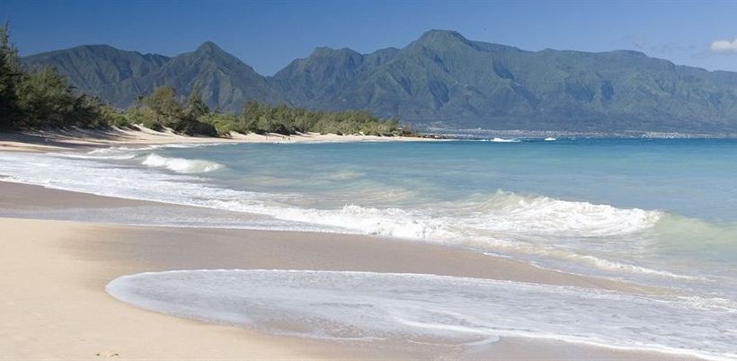 Hotel Complejo Nalu Kai Lodge  | Paia | Hawaii | United States 4