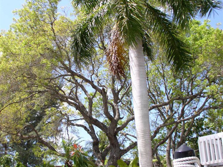 Hidden Harbor Suites by JE Hotels & Resorts Inc  | Fort Myers Beach | Florida | United States 1