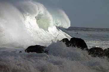 Bed and Breakfast Bed&Breakfast Santa's by the Sea  | Haleiwa | Hawaii | United States 4