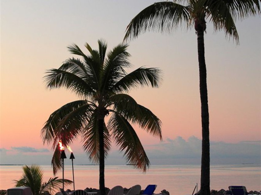 Lookout Lodge Resort  | Islamorada | Florida | United States 16