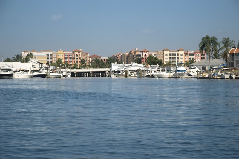 Hotel Residence Inn Naples  | Naples | Florida | United States 3