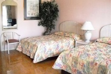 Conty's Motel  | Naples | Florida | United States 10