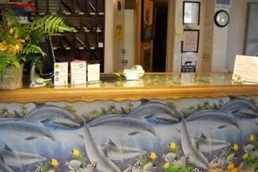 Conty's Motel  | Naples | Florida | United States 6