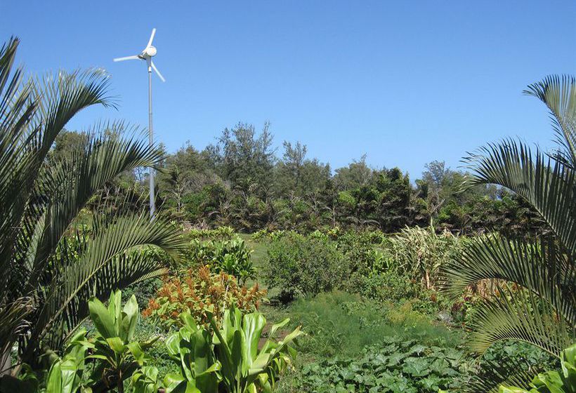 Hotel Hawaii Island Retreat At Ahu Pohaku Ho Omaluhia  | Kapaau | Hawaii | Vereinigte Staaten 4