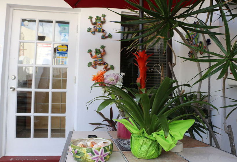 Breakaway Inn Guest House Motel