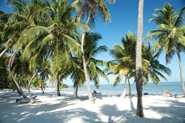 Resort The moorings village & spa Florida