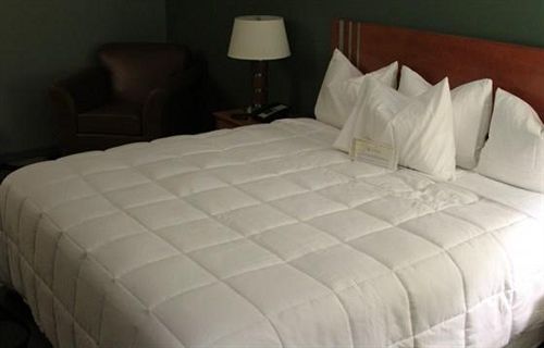 Marble Waters Hotel & Suites  | Jacksonville | Florida | United States 10