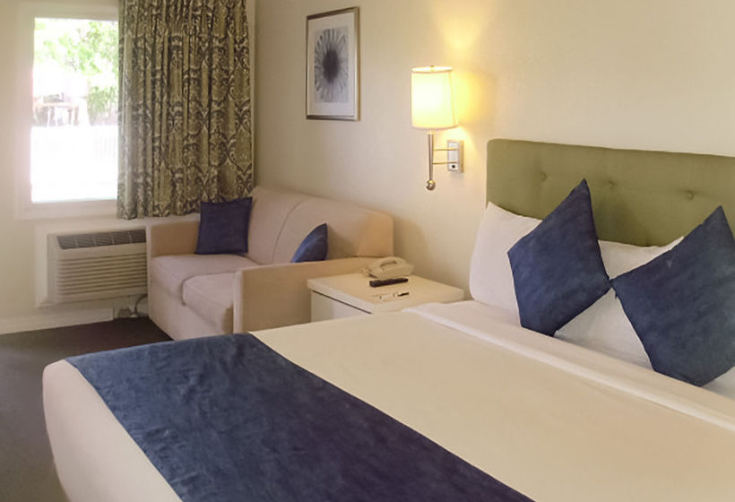 Hotel Sunsol Boutique  | Clermont | Florida | United States 7