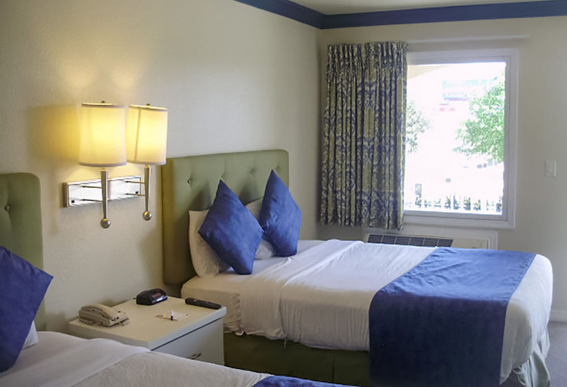 Hotel Sunsol Boutique  | Clermont | Florida | United States 8
