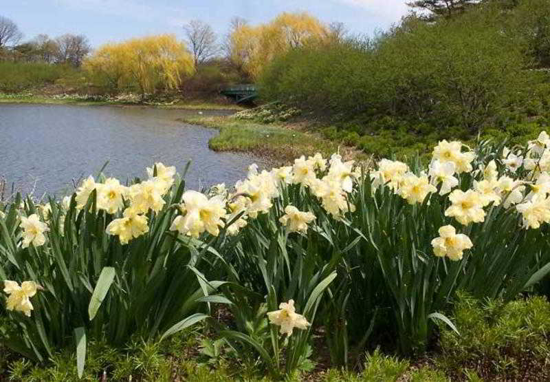 Hotel Courtyard Chicago Highland Park/northbrook  | Chicago | Illinois | United States 1