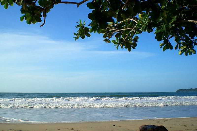 Totem Hotel Beach Resort  | Playa Cocles | Limon | Costa Rica 6