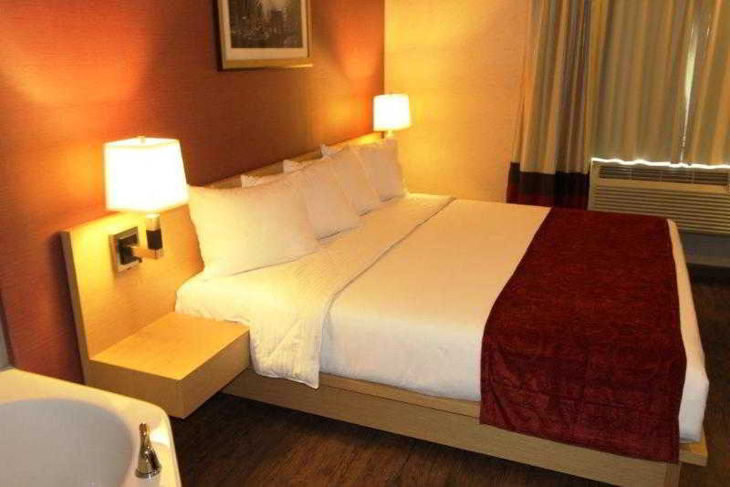 Hotel Luxe  Brooklyn  | Brooklyn | Nueva York | United States 15