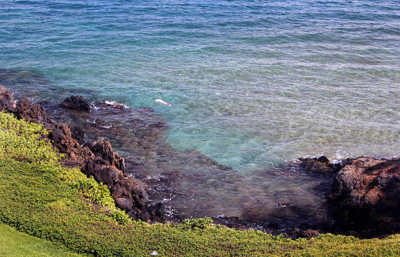 Hotel Makena Surf  | Wailea | Hawaii | United States 1