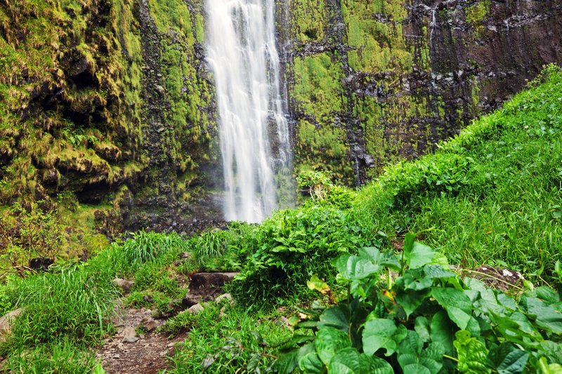 Hotel Makena Surf  | Wailea | Hawaii | United States 6